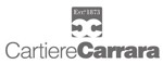 Logo partner