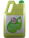 GREEN CLEAN PAVIMENTI ECOLABEL tanica 5 L manutenzione ordinaria