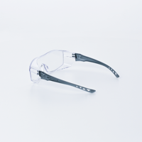 Immagine per il prodotto OCCHIALE602