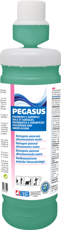 Immagine per il prodotto PEGASUS1
