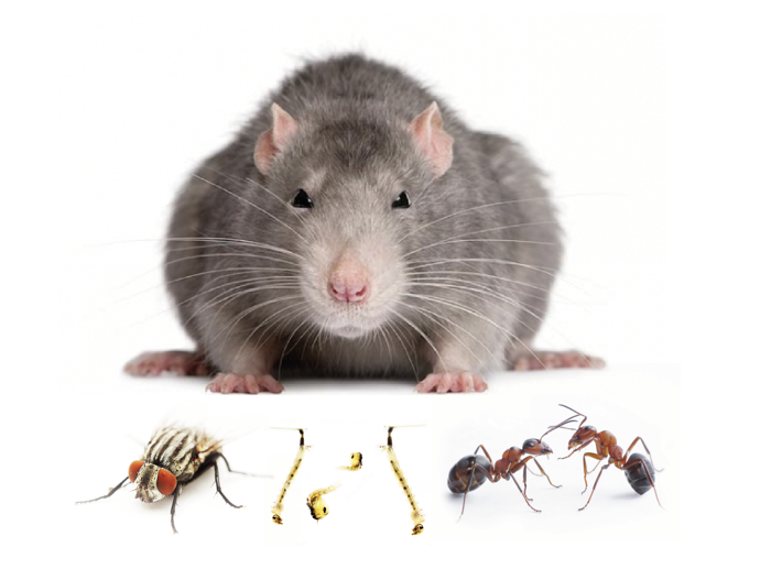 d42a1985-4869-4174-98a3-f4205de07a8f